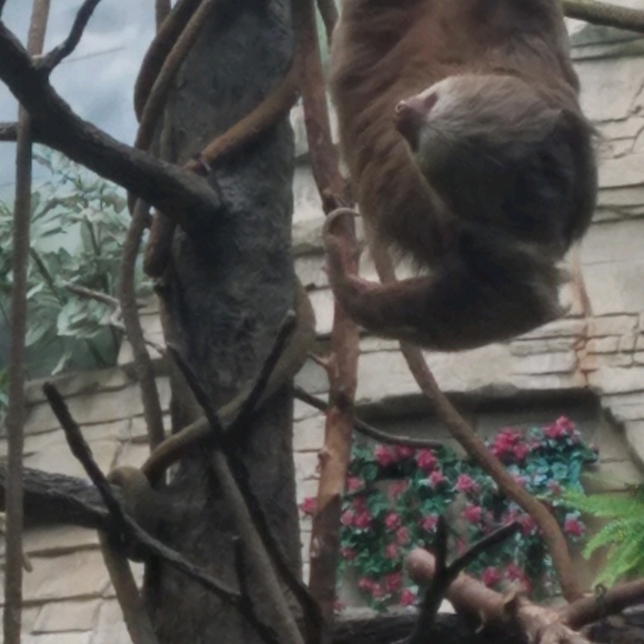 Meet your Posher, Sara - Picture 1 of 1